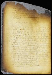 Confirmation and approval of the survey and plot map of New Amsterdam [Copy of Volume 6:302b]