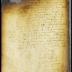 Confirmation and approval of the survey and plot map of New Amsterdam [Copy of Volume 6:302b]