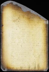 Ordinance forbidding the exportation of peltries before entering them with the Company's commissary [Copy of Volume 6:257]