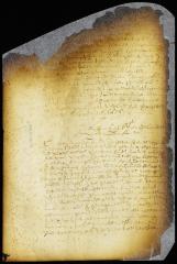 Advice of Fiscal Van Tienhoven on the survey of New Amsterdam [Copy of Volume 6:302a]