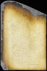 Minutes of council respecting the lately made survey of the city of New Amsterdam [Copy of Volume 6:300b]