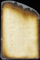 Answer of Councillor De Sille to propositions submitted to the council by director Stuyvesant [Copy of Volume 6:290]