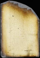 Propositions submitted to the council by director Stuyvesant [Copy of Volume 6:286b]