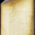 Votes of the director and council in the case of Allard Anthony vs. Abraham Planck, guardian of Gelyn Verplanck [Copy of Volume 6:270b]