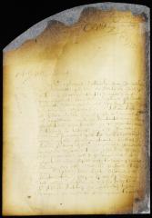 Judgment in the case of Allard Anthony vs. Abraham Planck [Copy of Volume 6:276]