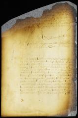 Order of the magistrates of Middelborgh respecting the disposal of the estate of John Gray, a fugitive from justice [Copy of Volume 6:251a]