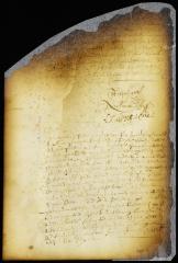 Appointment of Jan Peecq to be broker to the merchants of New Amsterdam [Copy of Volume 6:308a]