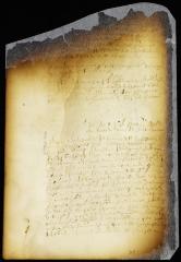 Decision on petition of Adriaen Blommert [Copy of Volume 6:310b]