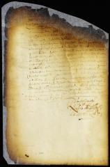 Proceedings in the case against Adriaen Blommert [Copy of Volume 6:319]