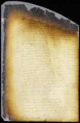 Petition of the magistrates of Breuckelen for an order obliging proprietors of vacant lots to build on them [Copy of Volume 6:344]