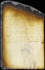 Proceedings in a case of appeal of Joost van Beecq against Maria Varleth [Copy of Volume 6:346a]