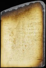 Proposals submitted to the council by director Stuyvesant [Copy of Volume 6:313b]