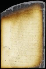 Petition of Sara Joresey for a piece of valley adjoining her farm in the Waale bocht and exemption to her and her heirs from the payment of tenths, tithes and taxes [Copy of Volume 6:353]
