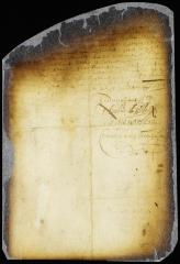 Grant to Thomas Wheeler and other settlers to reside at Vreedland [Copy of Volume 6:336a]