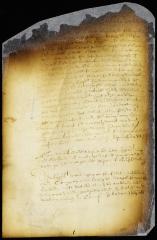 Petition of the skipper of the ship Flower of Gelder [Copy of Volume 6:334]