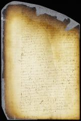Petition of Abraham de Lucena, Jacob Cohen Henricque, Salvador Dandrada, Joseph Dacosta, and David Frera, Jews, for the same rights in  trade and real estate as other citizens [Copy of Volume 6:321]