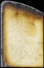 Petition of Dirck van Schelluyne, agent of baron Van der Capelle asking permission to engage some freemen to settle on Staten Island [Copy of Volume 6:379]