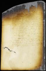 Sentence of Sander Toursen and his wife [Copy of Volume 6:356]