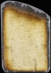 Petition of Hendrick Huyghen on behalf of a number of Swedes recently arrived at the South river for leave to settle and trade there [Copy of Volume 6:358]