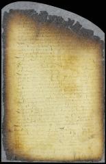 Ordinance of the court of Midwout and Amesfoort obliging the proprietors of houses and lots in Midwout to furnish palisades for defense [Copy of Volume 8:15]