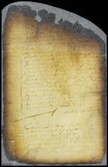 Two declarations respecting the wounding of capt.-lieut. Brian Nuton by a sentinel [Copy of Volume 8:13]