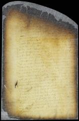 Commission of hon. Nicasius de Sille and Cornelis Tienhoven to proceed to the South river and investigate affairs there [Copy of Volume 8:5]