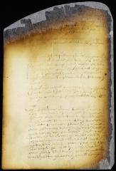 Order on the petition of Lambert Lott granting him a passage to Holland in the ship Balance, de Waeg [Copy of Volume 6:367]