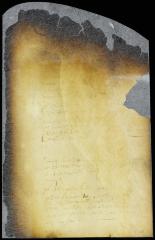 Order on a petition of Jacob Steendam for a piece of meadow at Aernhem [Copy of Volume 8:63a]