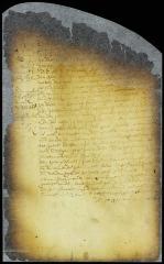 Answer and plea of Michel Tadens to the complaint of the fiscal against him [Copy of Volume 8:102b]