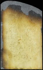 Petition of David Ferara that it was not his intention to appeal from the judgment of the city court but to ask for a remission or mitigation of the fine [Copy of Volume 8:90]
