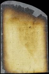 Answer of director and council to the remonstrance of Jan Baptist van Renselaer [Copy of Volume 8:45]