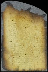 Evidence of Dirck van Schelluyne in the case of the fiscal against David Ferara [Copy of Volume 8:91b]