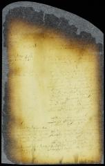 Interrogatories to and answers of Peter Adriaensen and Adriaen Jansen Appel [Copy of Volume 8:120]
