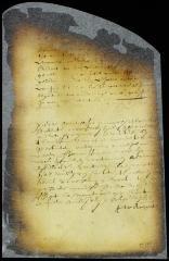 Election of Peter Adriaensen to pay the excise and the fine [Copy of Volume 8:130a]