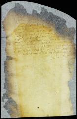 Pardon of two soldiers who had been absent and now return to their duty [Copy of Volume 8:186]