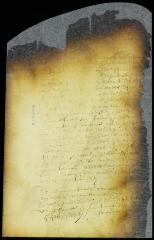 Message from Anthony Jansen informing the director and council that an armed party from Gravesend had driven off and impounded 24 head of his cattle [Copy of Volume 8:117]