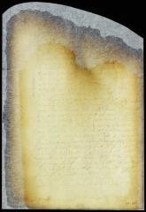 Answer of director and council to the petition of the burgomasters for leave to impose certain taxes [Copy of Volume 8:190]