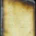 Interrogatories to and answers of Peter Adriaensen and Adriaen Jansen Appel [Copy of Volume 8:120]