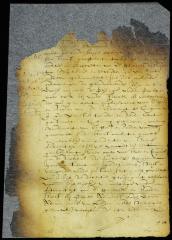 Judgment against Peter Adriaensen [Copy of Volume 8:126]