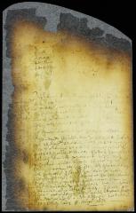 Order to the widow of David Provoost to deliver to sheriff Tonneman the official records of Breuckelen [Copy of Volume 8:119]