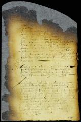 Election of Adriaen Jansen Appel to pay the excise and fine [Copy of Volume 8:133]