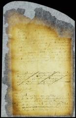 Minute of the appearance of the captains of the ships Otter and Dove before the council [Copy of Volume 8:168a]