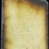 Interrogatories to and answers of Peter Adriaensen and Adriaen Jansen Appel [Copy of Volume 8:120]