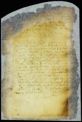 Order for the seizure of hay mowed by Anthony Jansen [Copy of Volume 8:185]