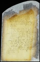 Resolution appointing Mr. De la Montagne commissary at Fort Orange [Copy of Volume 8:149a]