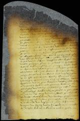 Sentence of Michiel Tadens [Copy of Volume 8:113]