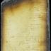 Interrogatories to and answers of Peter Adriaensen and Adriaen Jansen Appel [Copy of Volume 8:120]