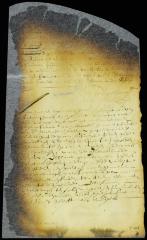 Summons to the magistrates of Gravesend and Anthony Jansen and his servant to appear before the council [Copy of Volume 8:140]
