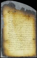 Petition of Michiel Tadens for mitigation of the penalty to which he is subject [Copy of Volume 8:110]