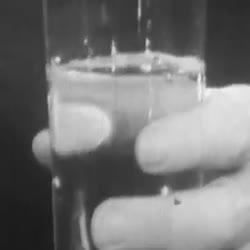 Little Drops of Water, 1964